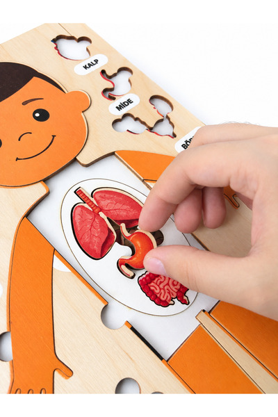 Bee Smart Montessori İç Organlarımız Oyunu Ahşap Gelişim Oyunu