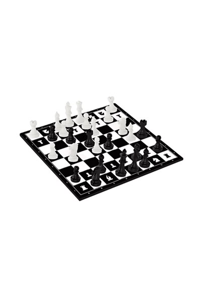 OEM Αναδιπλούμενο παιχνίδι σκάκι 28x28 εκ. SDS-26811 άσπρο/μαύρο