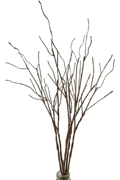 Generic أغصان الصفصاف الاصطناعية المجعدة الواقعية، أغصان مجففة للزينة، عيدان ...