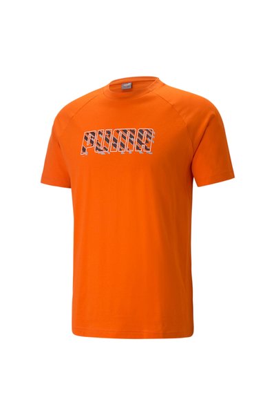 Puma DYNA-MIX Graphic Tee Men