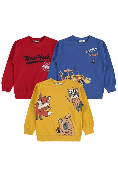 Civil Boys 3-Piece Printed Basic Sweatshirt for Ages 2-5