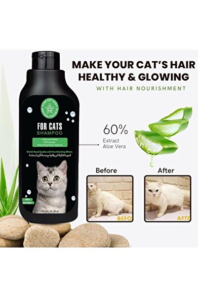 StarDotHash Cat & Dog Shampoo Bath Brush & Deodorizer (Cat Shampoo)