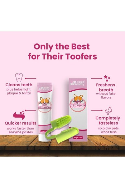StarDotHash Cat/Dog Toothbrush and Toothpaste for Fresh Oral Hygiene – All Breed 120g Cat/Dog Toothpaste & 2 Finger Toothbrush for Tartar Control