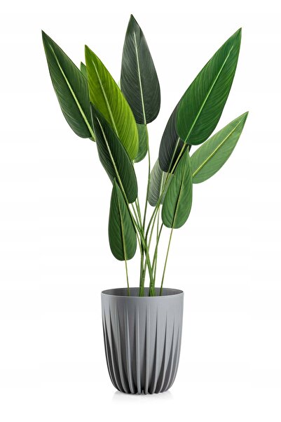 HowHomely Jardinieră mare, gri, înaltă, modernă, pentru living, cu ghiveci in...