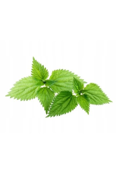 Equiherbs Cătină comună EKO-bag 2500g