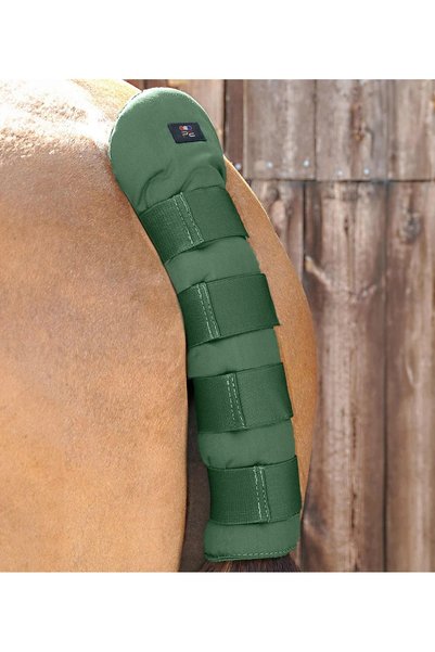 Premier Equine Protecție Coadă Cal Transport Stabilizator Verde
