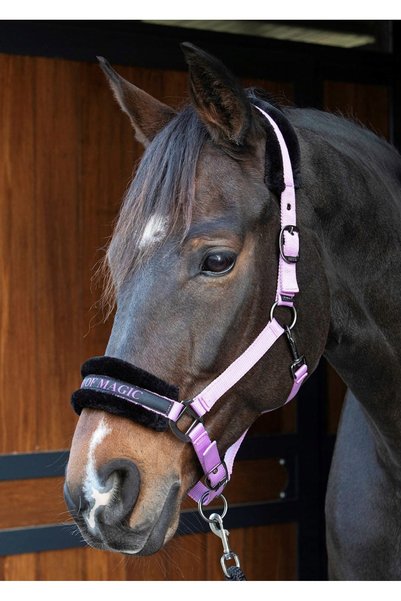 Harry's Horse Kantar pentru cal KUCYKA Citate Lirice lila COB