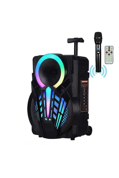 OEM Φορητό ηχείο Bluetooth NDR-P12 Karaoke 40W 12″