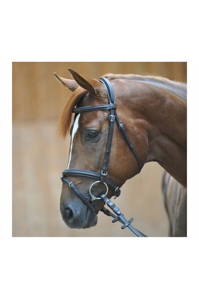 Kavalkade Accesoriu de cap Quentin cal negru XFULL