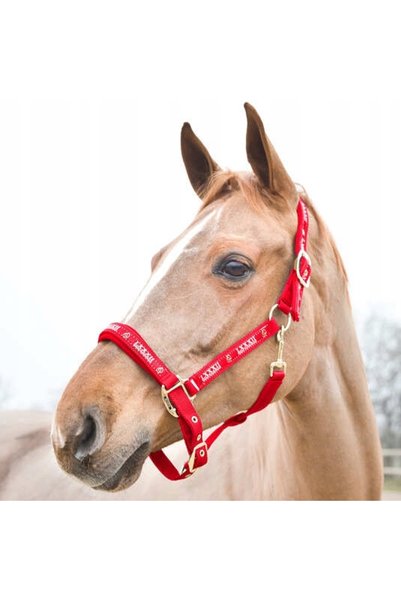 Horze Șa de cal Hampton căptușită cu neopren, roșie, PONY
