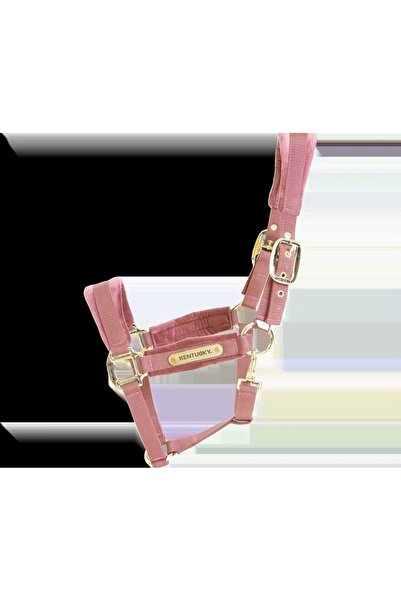 Kentucky Șa de cal din catifea moale, velur elegant, roz PONY