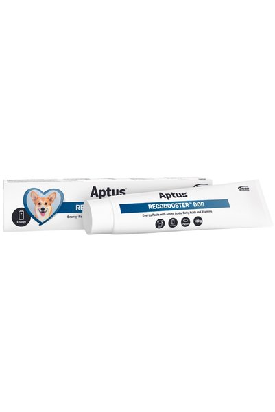 Aptus RECOBOOSTER CÂINE 100G PASTĂ ENERGETICĂ APET