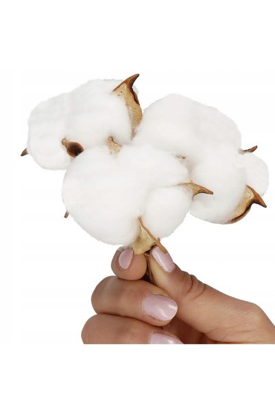 Springos 12x RAMURI DE BUMBAC NATURAL, FLORI DE BUMBAC, FLORI UScate, RAMURI ...