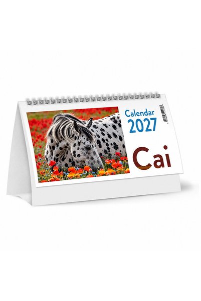 Libra Calendar de Birou 2027 Cai