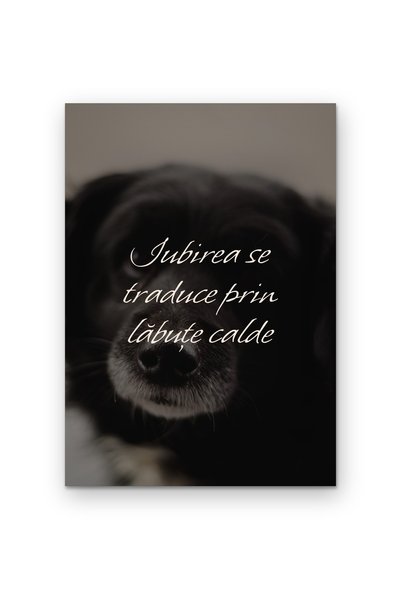 OEM Poster Arta de Perete Iubirea se traduce prin labute calde, Mesaj motivat...