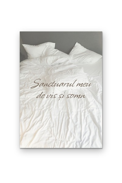 OEM Poster Cardboard 250g A4, My Dream and Sleep Sanctuary, Motivational Wall...