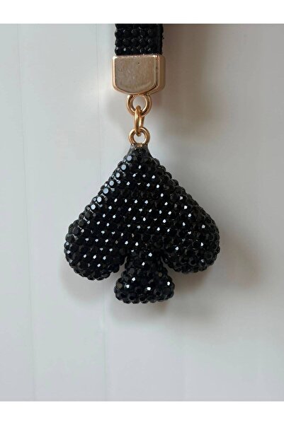 mixify Black Color Stone Fly Figure Keychain/Charm/Car Ornament