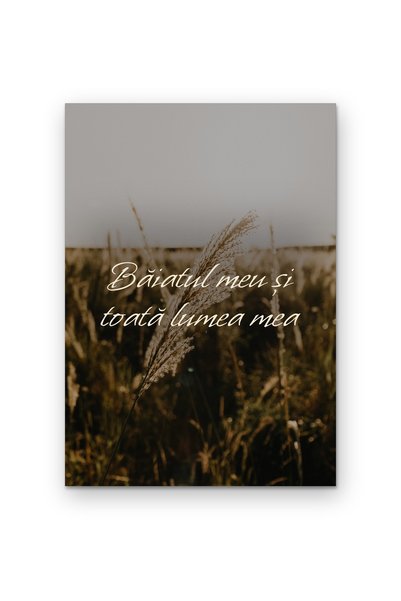 OEM Poster Cardboard 250g A4 - My boy and my whole world, Wall decoration