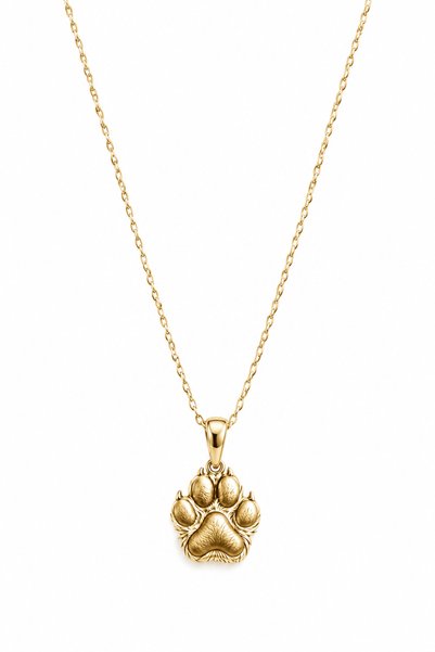 Coy Diamond 925 Ayar Gümüş Gold İsimli Kalp ve Pati Figürlü Kadın Kolye, Kişiye Özel Evcil Hayvan İsim Kolyesi, Köpek Kedi Severlere Anlamlı Hediye