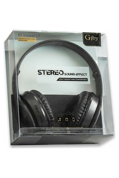 OEM Gjby CA-026 MP3 Player σε μαύρο χρώμα