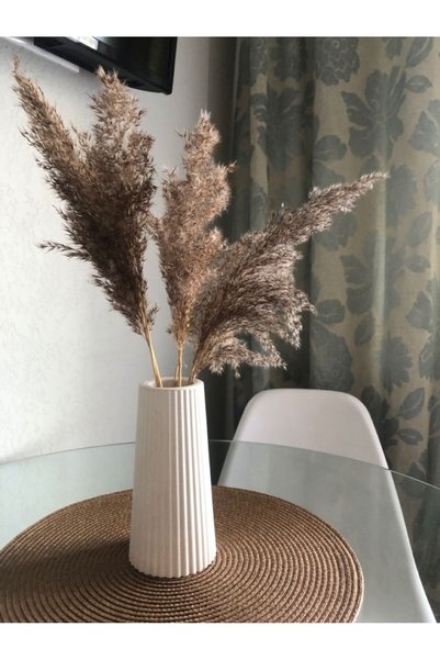 MaviOrkideÇiçekçilik Dekoratif Natural Kurutulmuş Pampas Otu Demeti Plastik V...