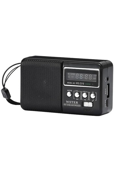 OEM Φορητό ραδιόφωνο επαναφορτιζόμενο με Bluetooth και USB μαύρο WSTER WS-2319