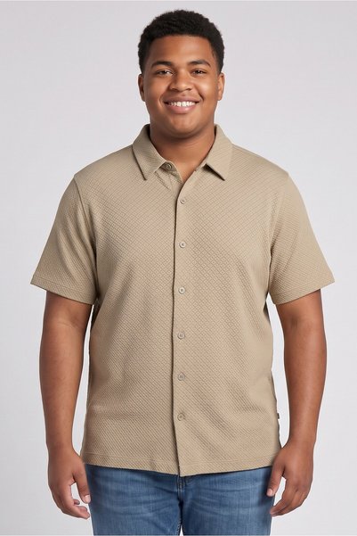 Ike Behar Men Regular Fit Textured Short Sleeve Casual Shirt, Dark Beige