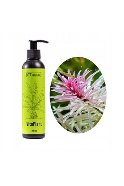 GT aqua Kit Vita 3x200ml pentru îngrijirea acvariului
