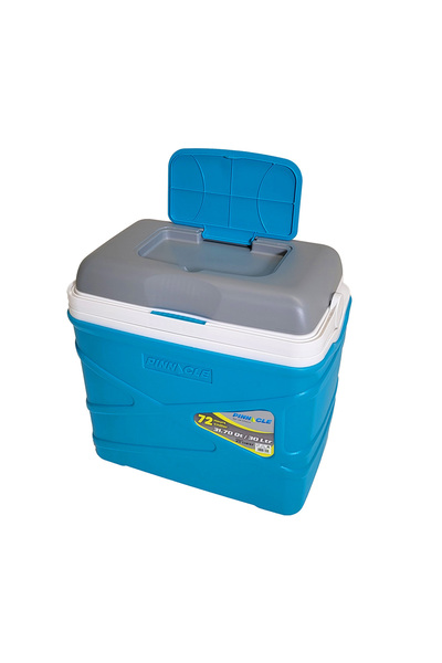 PİNNACLE Κωδικός Ψυγείου Πάγου Pasco 30lt 31506 Τυρκουάζ