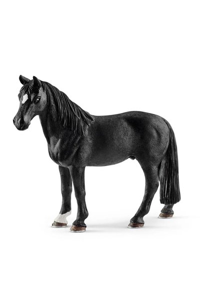SCHLEICH Tennessee W Beygir 13832