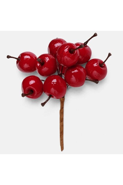 DD SHOP Dis berries cra tulp scurta mar ros - Crengute Decorative Fructe, Cra...