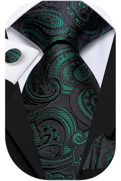 Dubulle Mens Paisely Silk Tie for Men Necktie and Pocket Square Set