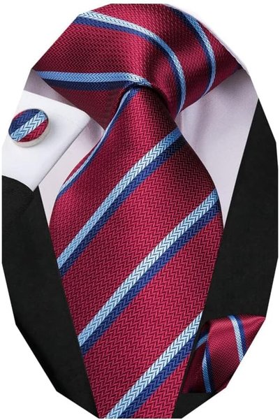Dubulle Mens Paisely Silk Tie for Men Necktie and Pocket Square Set