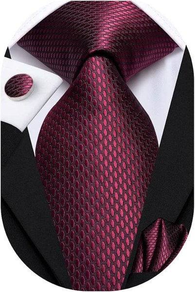 Dubulle Mens Paisely Silk Tie for Men Necktie and Pocket Square Set