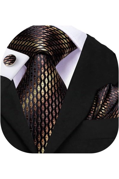 Dubulle Mens Paisely Silk Tie for Men Necktie and Pocket Square Set