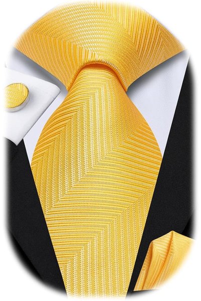 Dubulle Mens Paisely Silk Tie for Men Necktie and Pocket Square Set