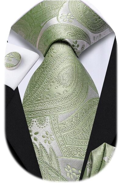 Dubulle Mens Paisely Silk Tie for Men Necktie and Pocket Square Set