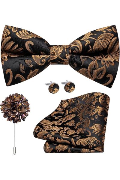 Dubulle Mens Paisely Silk Tie for Men Necktie and Pocket Square Set