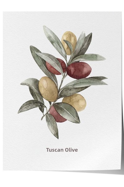 Postifull Poster fără ramă Olive Toscane nr. 160484