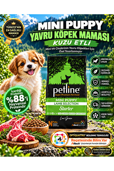 Petline Mini Irklara Özel Üretilmiş Kuzu Etli Yavru Köpek Maması Başlangıç Ma...