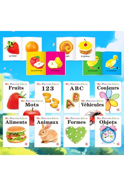 Choice A set of ten French Early Learning Book Set - Fruits, ABC, Animals & M...