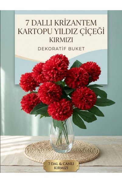 ledison 7 Dallı Krizantem Kartopu Yıldız Çiçek Kırmızı
