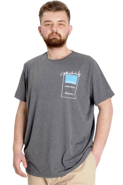 ModeXL Mode XL Large Size Men's T-Shirt Establisment 23139 Antramelange
