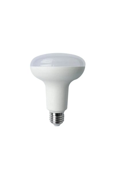 OEM LED λάμπα R90 E27 15W 3000K Aigostar