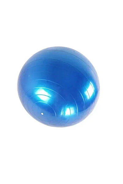 OEM Μπάλα ασκήσεων για Yoga και Pilates 85 εκ. σε μπλε χρώμα