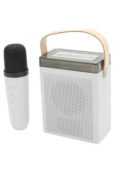 OEM Ασύρματο ηχείο Bluetooth με λαβή μεταφοράς, LED φωτισμό και μικρόφωνο Kar...