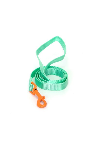 OEM Δίχρωμος οδηγός για σκύλους W2.5*L120 εκ. Large πράσινο/Πορτοκαλί