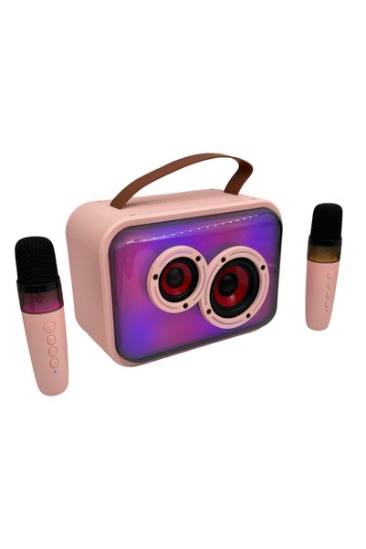 OEM Aσύρματο φορητό ηχείο Karaoke Bluetooth με 2 ασύρματα μικρόφωνα και RGB L...