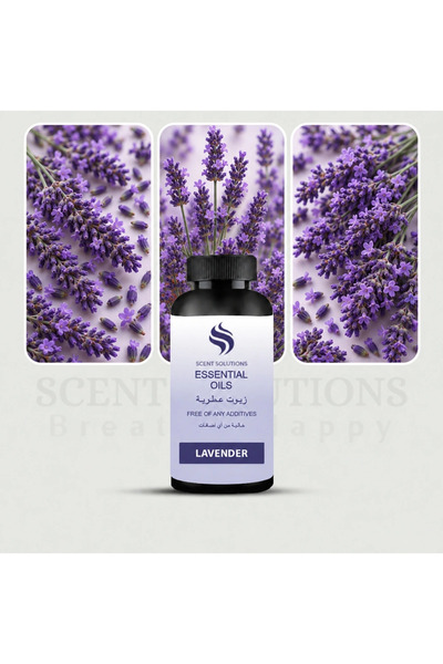 Scent Solution زيت عطري - لافندر