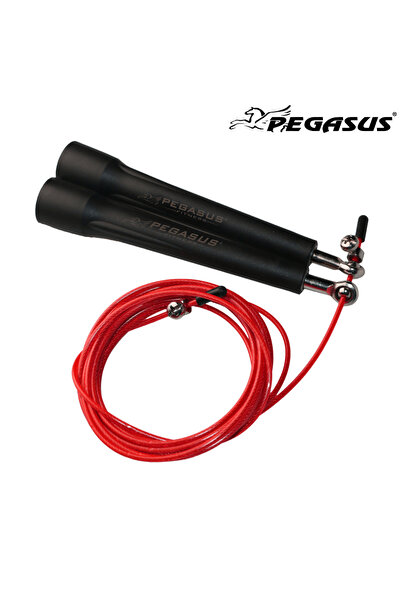 ASUS Σχοινάκι με συρματόσχοινο Pegasus® (3m)